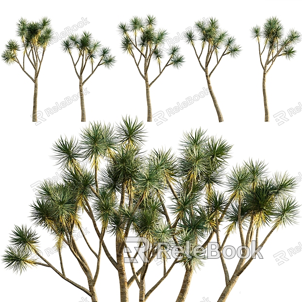 Tropical Trees Combination Trees Tropical Trees Plants Green Planting model