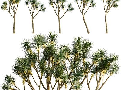 Various Trees with Tall Trunks and Lush Green Foliage in Natural Setting 3d model