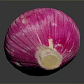 Vibrant Pink Onion With Shiny Surface On Dark Background And Reflection 3d model