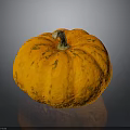 Ripe Fresh Orange Textured Pumpkin on Black Background with Clear Reflection