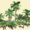 Diverse Tropical Plant Collection Featuring Palm Trees Large Leafy Greenery And Various Ferns