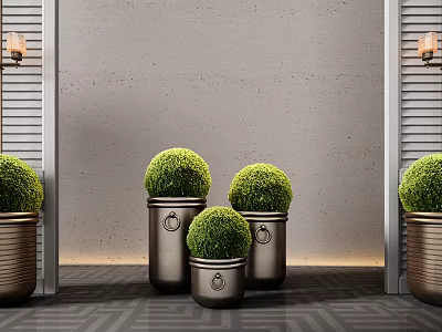 Modern Indoor Bonsai Plants With Round Green Top In Metal Pots And Wall Sconces 3d model