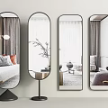 Contemporary Oval and Rectangular Floor Mirrors Enhancing Living Room Decor with Sofa Plant