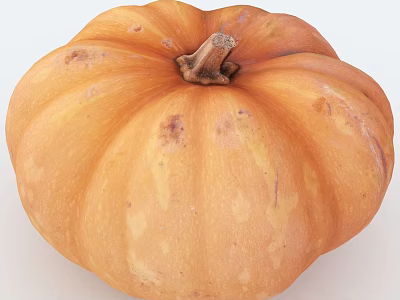 Ripe Orange Pumpkin With Speckled Surface And Brown Stem Close Up 3d model