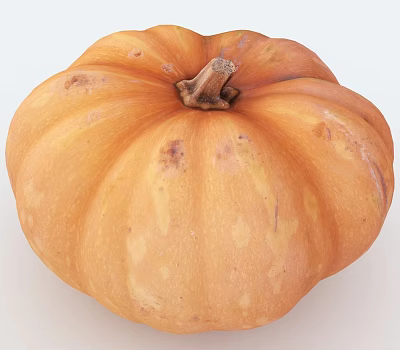 Food Pumpkin 3d model