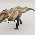 Jurassic dinosaur Tyrannosaurus Rex 3d model