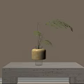 Bonsai Potted Plant with Slender Green Hanging Leaves in Light Yellow Cylindrical Pot