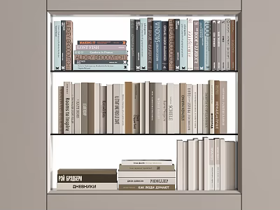 Neatly Arranged Books And Magazines On Modern Multiple Shelves With Various Colored Spines 3d model