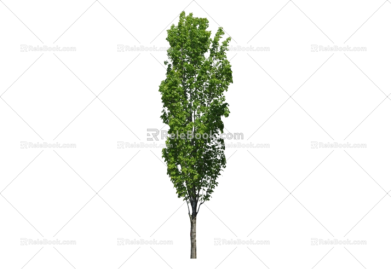 Tree 3d model