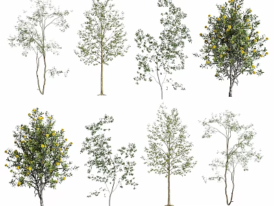 Different Types Of Trees Featuring Diverse Foliage Shapes And Blooming Yellow Flowers 3d model
