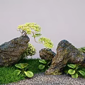 Miniature Garden Landscape With Large Rocks Small Pine Tree Green Plants Grass And Gravel