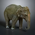 Detailed Grayish Green Textured Elephant Model Standing On Dark Background