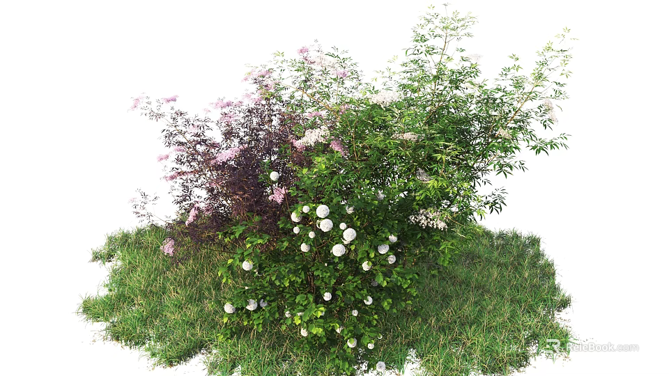 Diverse Flowering Shrubs in Lush Garden With Green Leaves Pink White Blossoms 3d model 