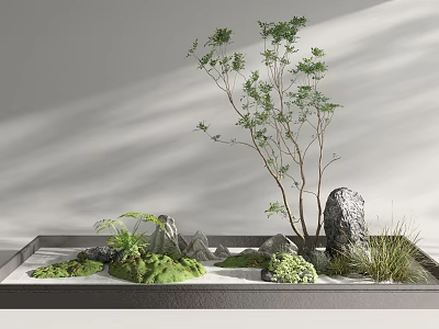 Minimalist Indoor Landscape With Small Trees Rocks Green Moss And Sand 3d model