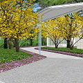 Modern Pergola in Courtyard with Stone Pathway Steps Water Feature and Green Trees