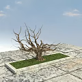 Dry Tree in Square Grass Patch on Stone Pavement with Blue Sky and White Clouds 3d model