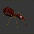 3D Rendered Detailed Red Ant With Golden Eyes On Gray Background