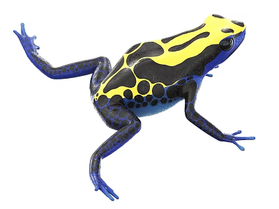 Vibrant Reptile Body With Yellow Black Patterns Blue Legs And Black Dots 3d model