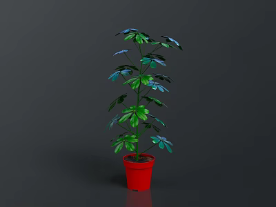Tall Green Indoor Plant With Vibrant Leaves In Red Decorative Pot 3d model