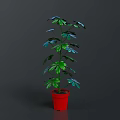 Tall Green Indoor Plant With Vibrant Leaves In Red Decorative Pot