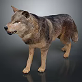 Lifelike Standing Wolf Sculpture With Gray Brown Fur And Natural Posture