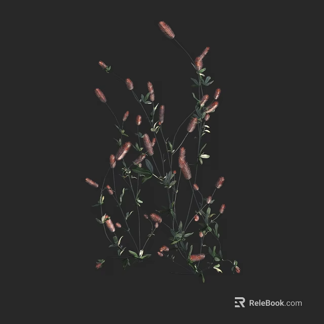 Pink Spike Flowers With Green Leaves And Slender Stems On Black Background 3d model 