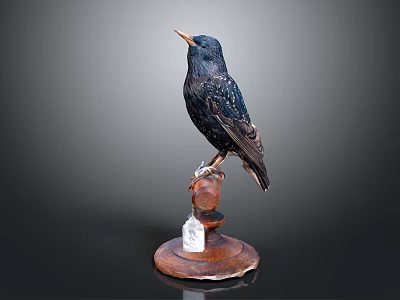 Black Bird Standing On Brown Wooden Base With White Tag 3d model