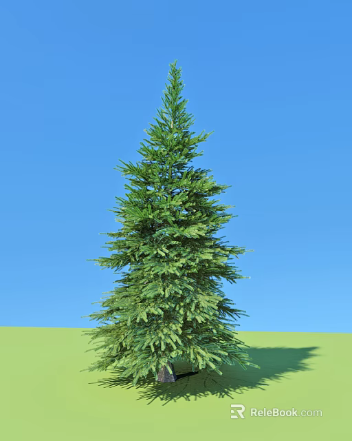 Tall Evergreen Arbor Standing Against Clear Blue Sky With Green Grass 3d model 