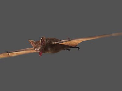 Modern Bat 3d model Modern Bat 3d model