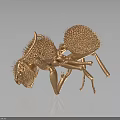 Detailed 3D Brown Ant Model Featuring Spiky Exoskeleton And Segmented Legs