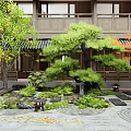 Japanese Courtyard Garden With Pine Tree Maple Tree Stone Lanterns Raked Sand And Moss