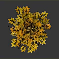 Autumn Plant Bouquet With Yellow Orange Leaves Black Berries Vase And Pumpkins On Dark Background