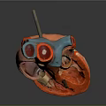 Detailed Anatomical Human Heart Model Medical Device For Medical Education Training