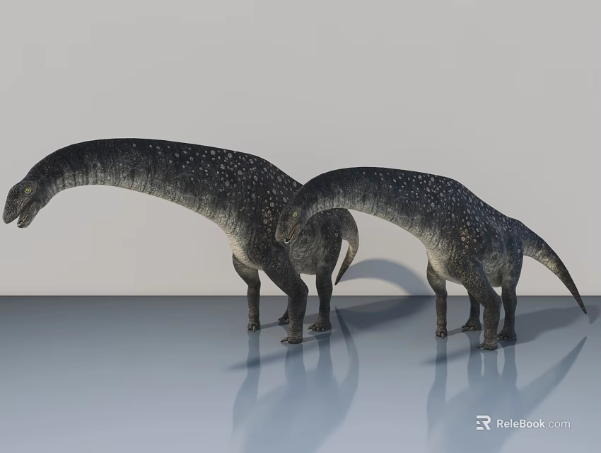 Two Long Neck Dinosaurs With Black And White Spots On Smooth Gray Floor White Wall 3d model 