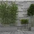 Tall and Short Bamboo Plants in Concrete Planters Against Textured Stone Wall