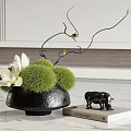 Elegant Black Vase With White Flowers Green Moss Balls And Twigs On Modern Tabletop