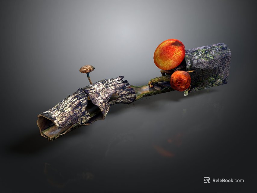 Fresh Organic Mushrooms And Ripe Orange Fruits On Natural Wood 3d model 