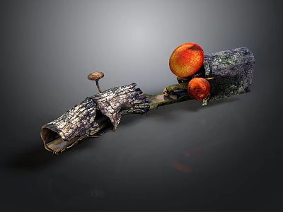 Fresh Organic Mushrooms And Ripe Orange Fruits On Natural Wood 3d model
