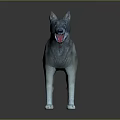 Realistic 3D Reptile Model With Gray Skin Open Mouth Standing On Black Background