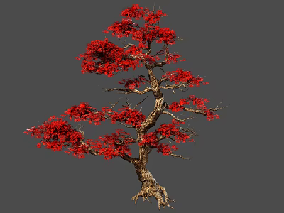 Ornamental Tree With Vibrant Red Leaves And Woody Trunk For Landscape 3d model