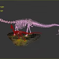 Large And Small Dinosaur Skeleton Display With Blue Tail And Textured Base