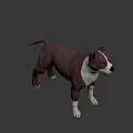 Realistic Brown and White Dog Game Movie Character 3D Model with Alert Expression