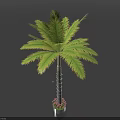 Green Palm Tree with Lush Fronds Textured Trunk in Decorative Pot and Red Flowers