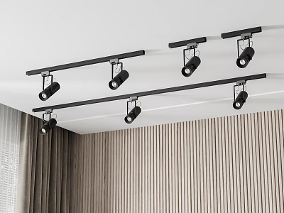Black Track Mounted Downlights And Spotlights For Modern Interior Ceiling Design 3d model