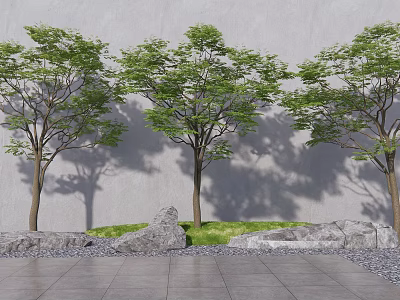Arbor Trees with Green Leaves and Trunks Against Gray Wall Stone Pavement and Grass 3d model