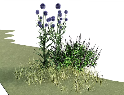 Tall Purple Spherical Flowers Green Shrubs With Slender Leaves And Decorative Grasses On Outdoor Lawn 3d model