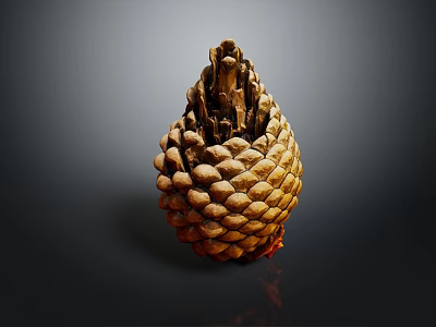 Close Up View Of Natural Detailed Pine Cone With Textured Brown Surface 3d model
