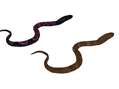 Two Different Colored Reptile Snakes Blue Red Patterned And Brown In White Background 3d model