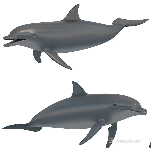 Two Reptile Turtles With Gray Bodies Swimming In Blue Ocean Water 3d model 