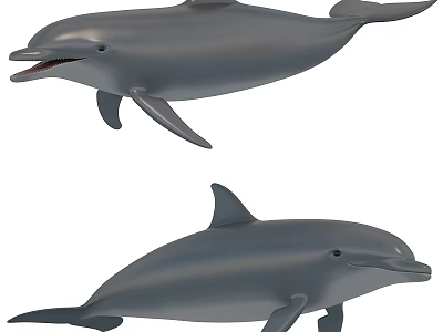 Two Reptile Turtles With Gray Bodies Swimming In Blue Ocean Water 3d model